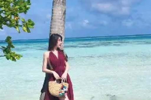 编剧碰瓷白鹿反被扒：黑历史曝光炒作失败的代价